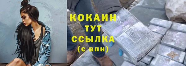 ECSTASY Армянск