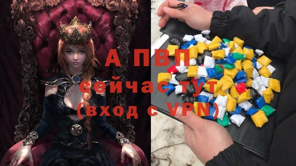 ECSTASY Армянск