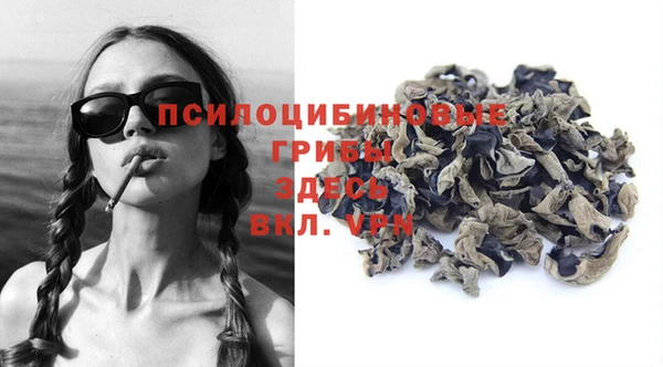 ECSTASY Армянск